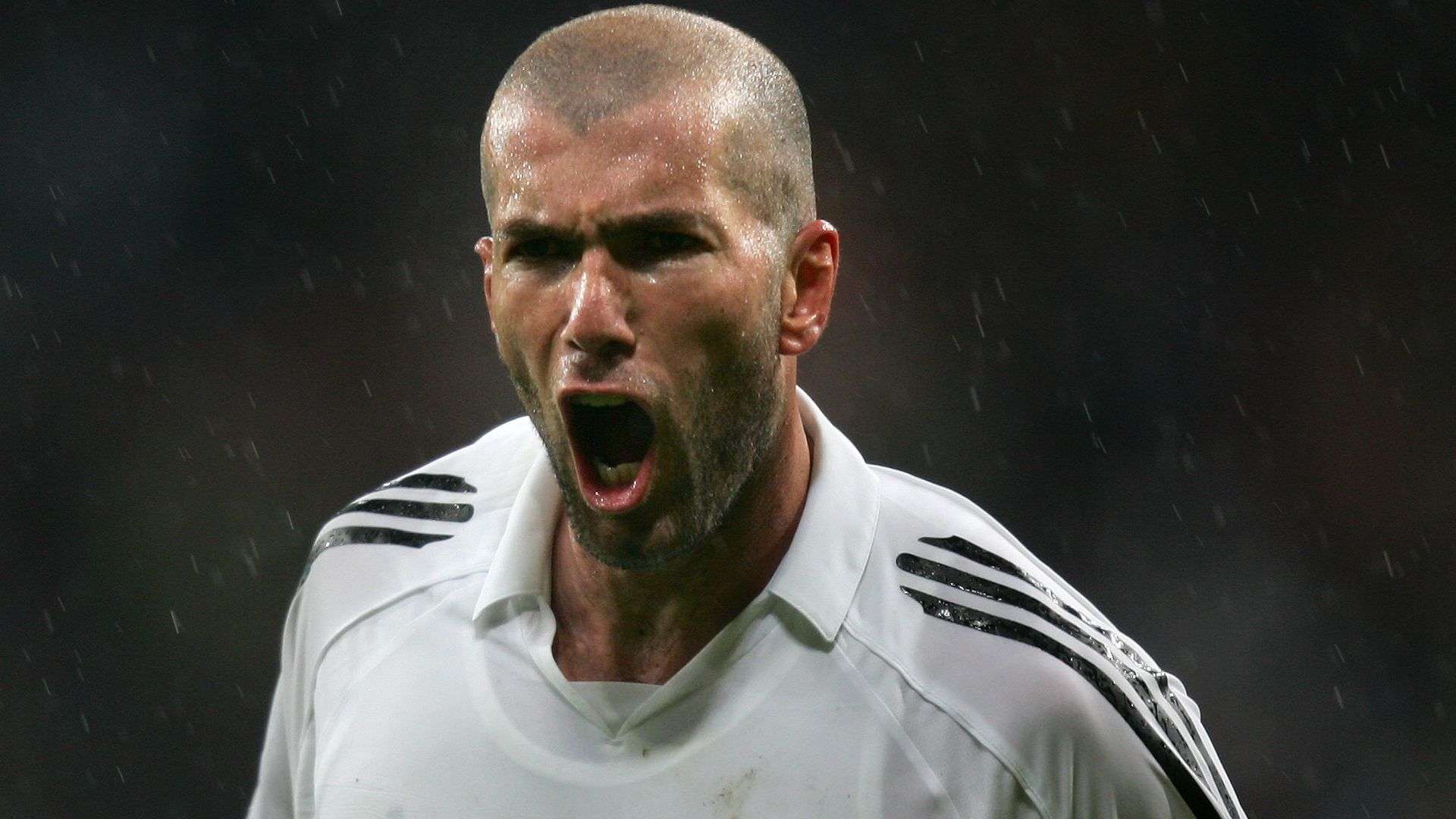 悉欧洲杯的 悉欧洲杯的